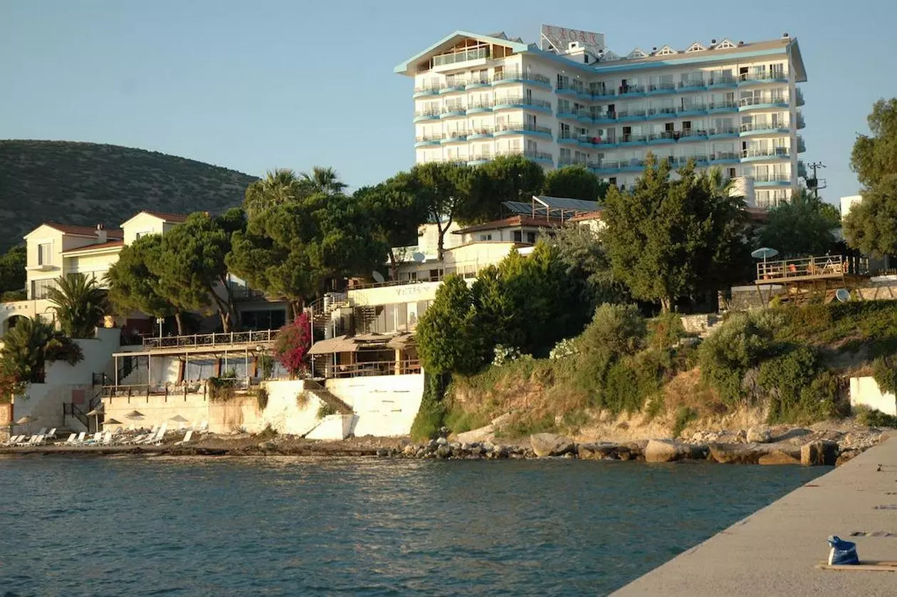 ARORA_SHABAVIZ (8).jpg